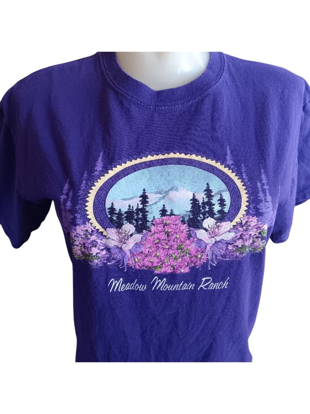 Vintage Women's T-shirt Small 2003 Meadow Mountain Ranch Gildan Graphic Country